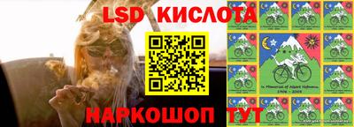 Альфа ПВП Кандалакша