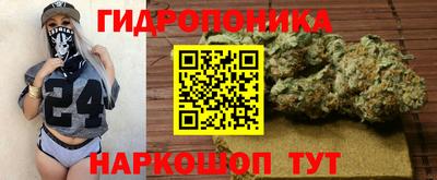 Альфа ПВП Кандалакша