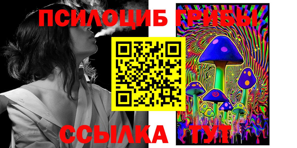 Псилоцибиновые грибы Psilocybe Дальнереченск