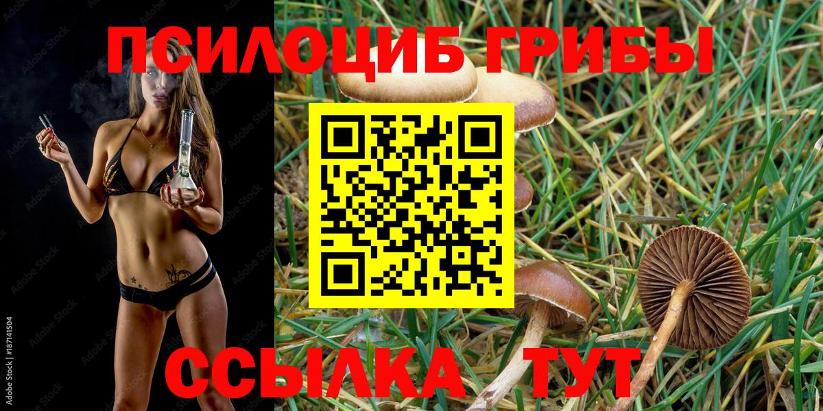 Дальнереченск  Галлюциногенные грибы ЛСД  Вход с VPN 